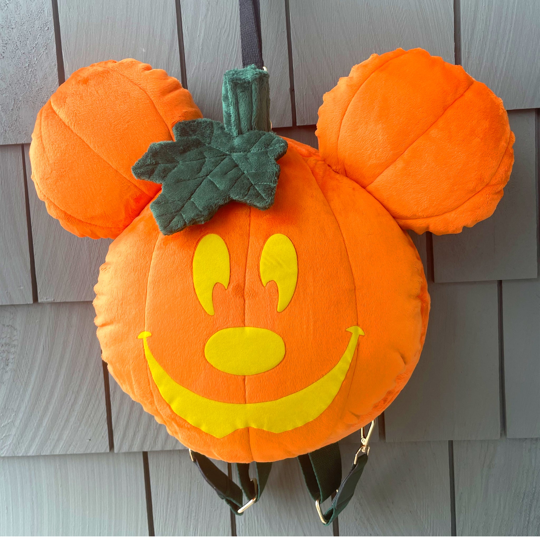 Pumpkin Bag - Preorder