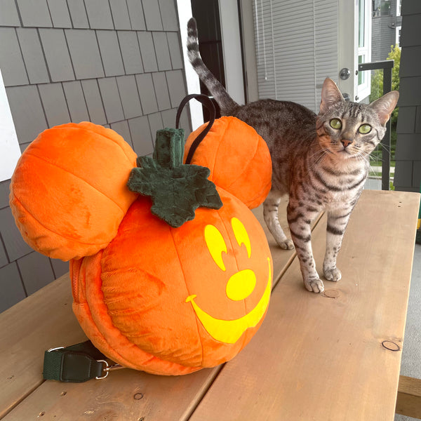 Pumpkin Bag - Preorder
