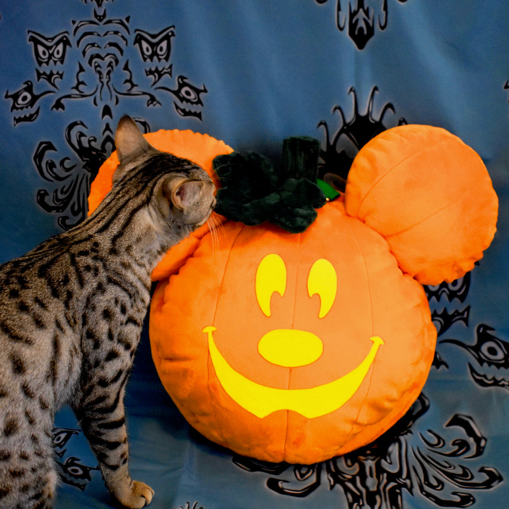 Spoopy Pumpkin Bag Jack-O-Lantern Purse Halloween | Kawaii Babe